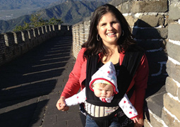 GreatWall Insert Pictures
